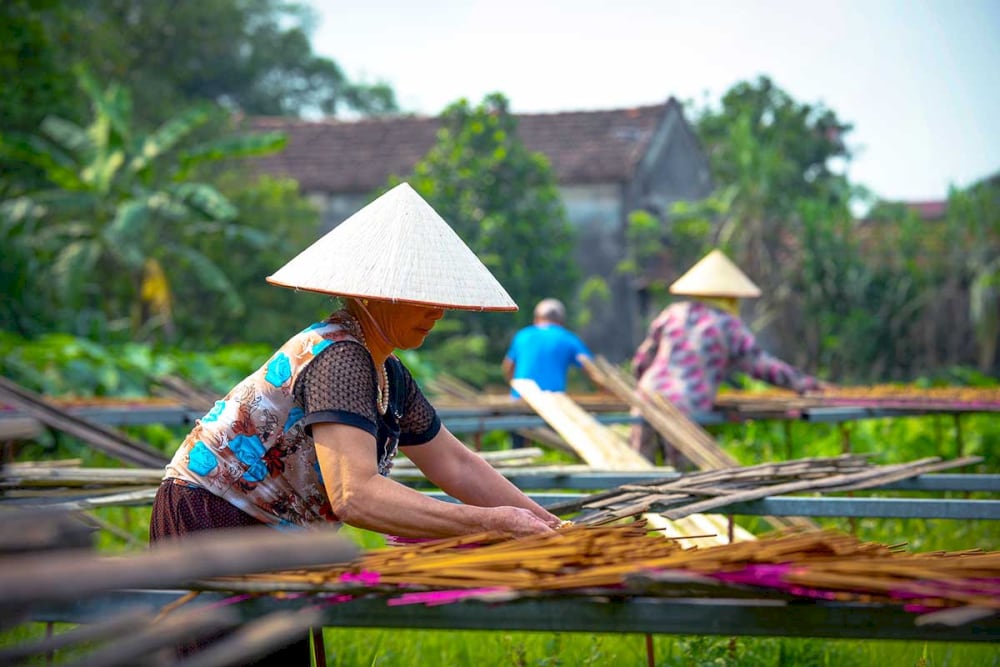 The local people carefully dry incense sticks underneath the sunlight